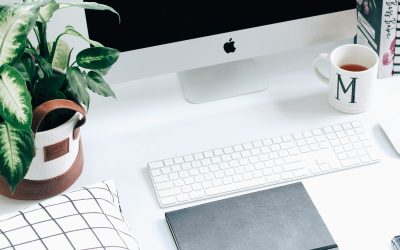 Lead magnet : comment créer un freebie qui attire les bons abonnés